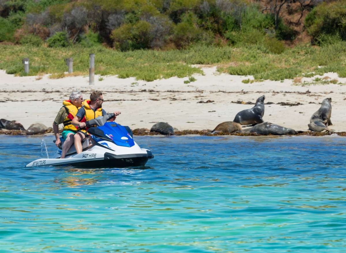 Jet ski tours Perth Sea Lions